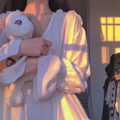 神奇动物：邓布利多之谜